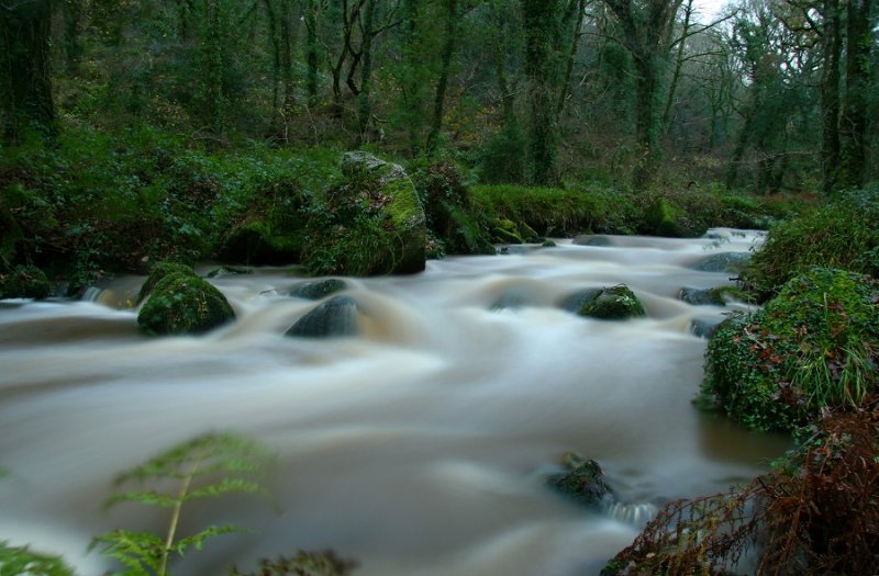 Par River, Pontsmill, after heavy rain