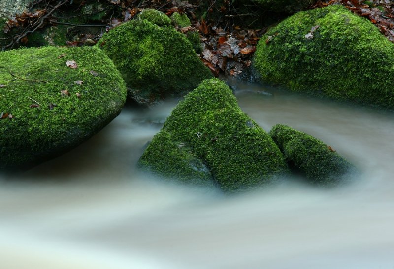 More mossy boulders