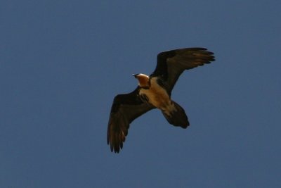 g3/95/760195/3/94922500.yMuLOBL5.jpg