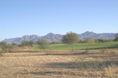 Moving into the desert at Talking Stick