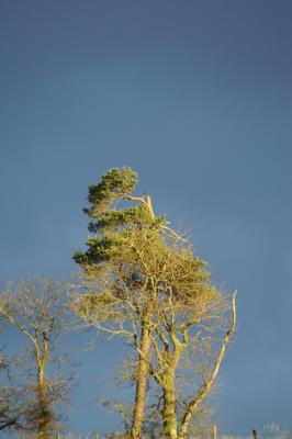 Image010.jpg