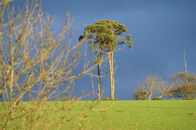 Image012.jpg