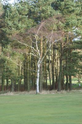 Image037.jpg