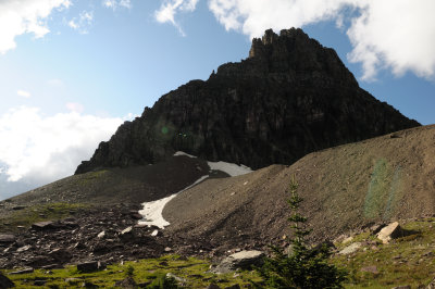 DSC_1290_s.jpg
