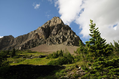 DSC_1304_s.jpg