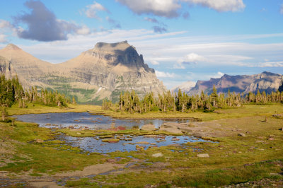 DSC_1330_s.jpg