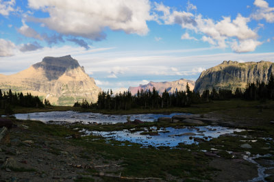 DSC_1331_s.jpg