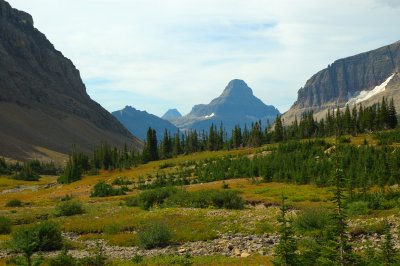 DSC_0397.jpg