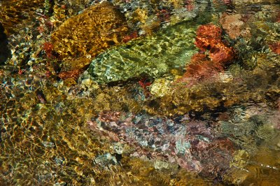 DSC_0509.jpg