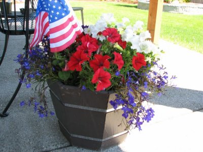 Img_1971.jpg