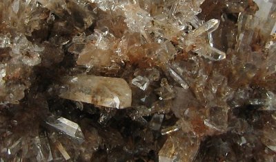 Creedite Detail