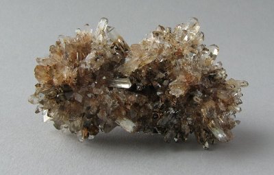 Creedite