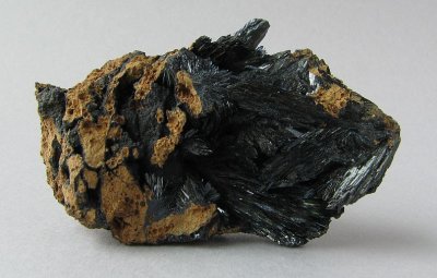 g3/95/780595/3/119696359.C15fNxWa.jpg