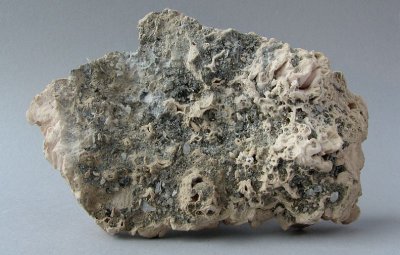 g3/95/780595/3/121109069.W2OHztUt.jpg