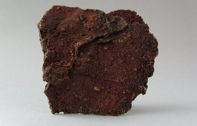 g3/95/780595/3/121109074.RlDiTkdI.jpg