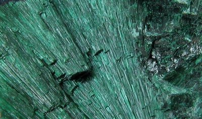 Malachite (Velvet) Detail