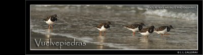 vuelvepiedras-banner