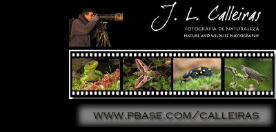 j_l_calleiras-banner