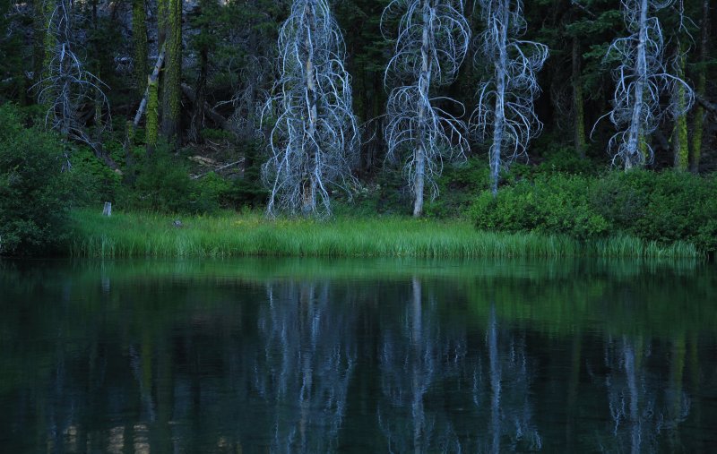 Early Morning On The Truckee 