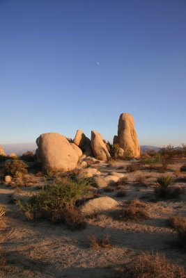 Desertscape