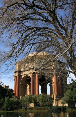 Palace Of Fine Arts