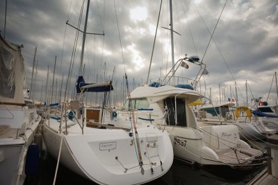 IMG_0780.jpg