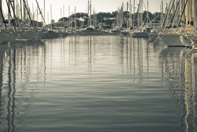 _DSC7967.jpg