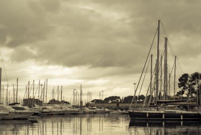 _DSC8004.jpg