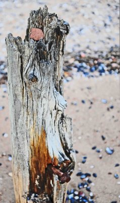 I see a whistling old man, not just a stump on the beach.
