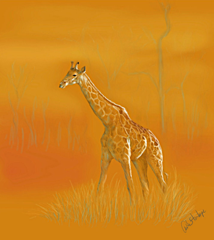 Giraffe by Anita Stanhope
