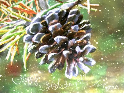 Happy holidays 2009