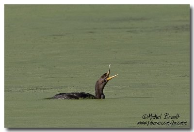 IMG_8142.jpg