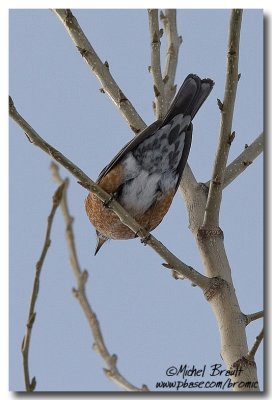 IMG_6196.jpg