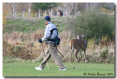 IMG_9545.jpg