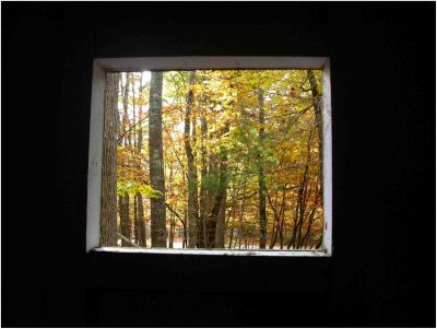View from the Outhouse Window