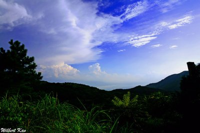 IMG_6586.jpg