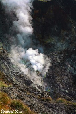 IMG_7568.jpg