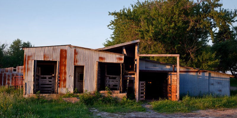 Cattle Shed