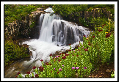 Sneffels Creek Waterfall
