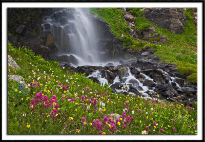 Wildflowers and Waterfalls