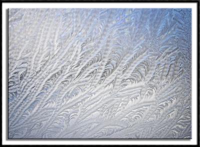 Window Art I
