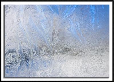 Window Art II