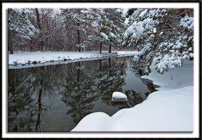 Black Reflection