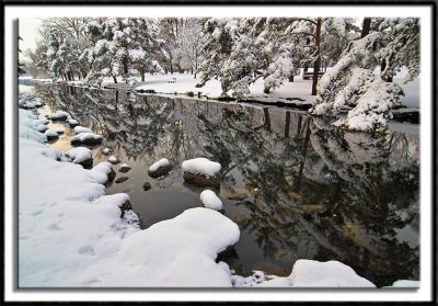 Snowy Reflection