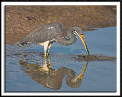 Gazing Into The Mirror