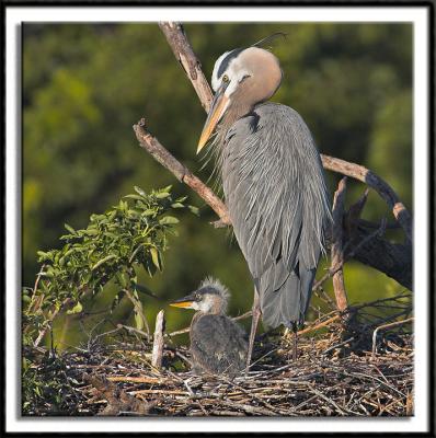 Mother and Child