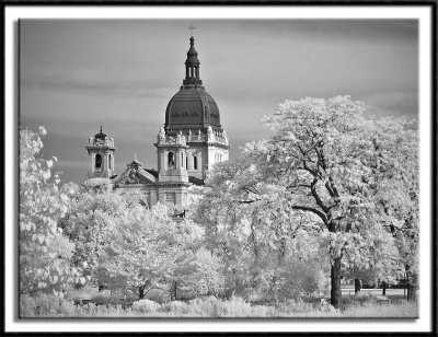 The Minneapolis Basilica