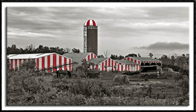 Candy-Striped Farm Buildings