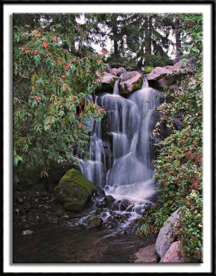 Arboretum Waterfall
