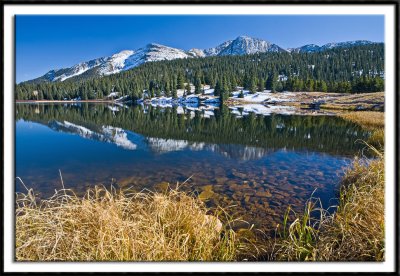 Lake Andrews Reflection